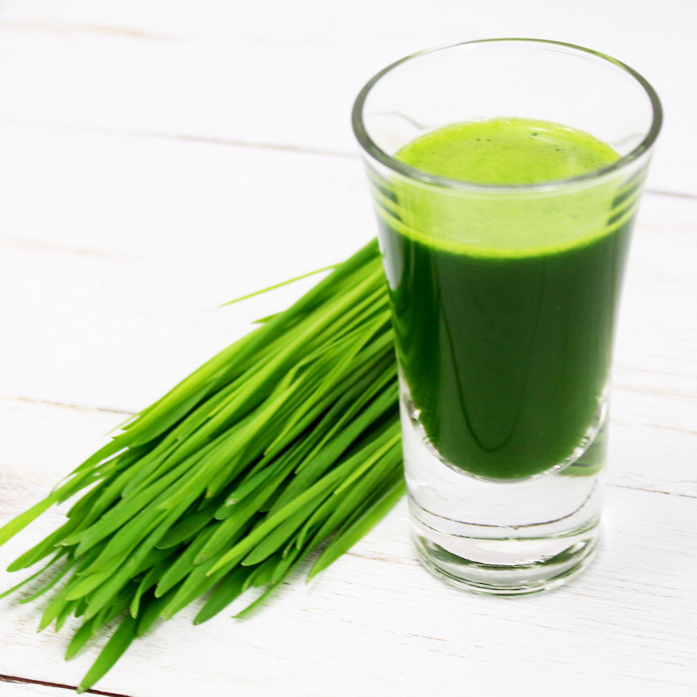 Витграсс день 7. Лучший витграсс. Лучший витграсс. Сок ростков пшеницы витграсс. Витграсс сок из ростков пшеницы.