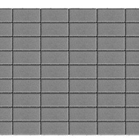 Тротуарная плитка BRAER Прямоугольник Серый h-80, 240х120