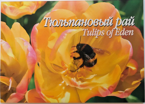 Комплект открыток Тюльпановый рай 15х20