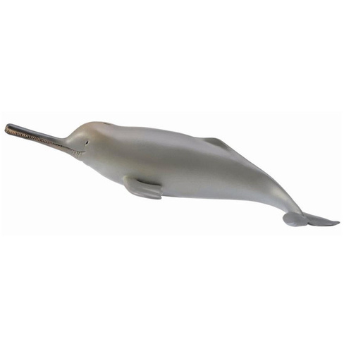 Гангский речной дельфин размер M 88611b CollectA (Gulliver)