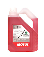 Зимняя жидкость для омывателя стекла MOTUL Vision Black Currant -20°C (4 л)