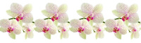 Кухонный Фартук ПВХ Ветка орхидеи 600х300 мм