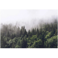 Фотообои винил на флизелиновой основе Fotooboikin Лес в тумане max 4х2.7м 195г/кв. м 1 шт., зелeный