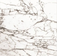 Marbles Venato Blanco (Leviglass) Rect. 75x75